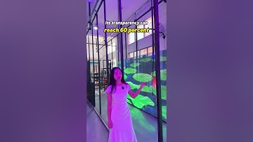 Amazing led transparent screen#led #leddisplay #ledfactory #transparenscreen #indoorscreen