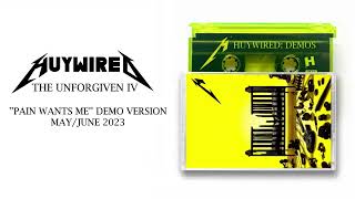 Metallica: The Unforgiven IV ''Pain Wants Me'' Demo Version