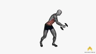 dumbbell diagonal chop