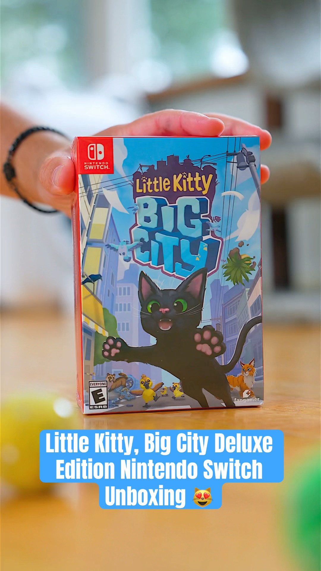 Many Kitties, Big Unboxing! Little Kitty, Big City Switch Deluxe