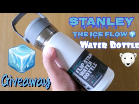 Stanley Ice Flow Water Bottle Tumbler with Straw Comparison I LOVE THEM  BOTH! 