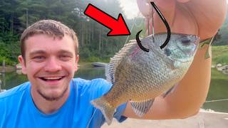Fishing with Live Bait for Bass at My Pond!