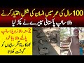 100 Sal Ki Umer Honay Par Insaan K Shakal Akhtiar Krny Wala Khatrnak Sanp 100 Sal Ki Umer Honay Par Insaan K Shakal Akhtiar Krny Wala Khatrnak Sanp