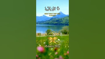 حالات واتس - سورة العنكبوت الاية (13) - القارئ | عبد الرحمن مسعد