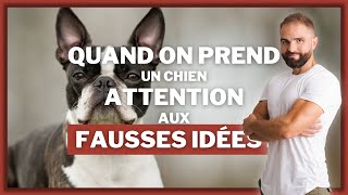 Quand on prend un chien attention aux fausses idées !