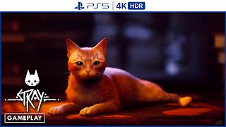 STRAY | PS5 | 28 Minutes Gameplay (4K HDR)