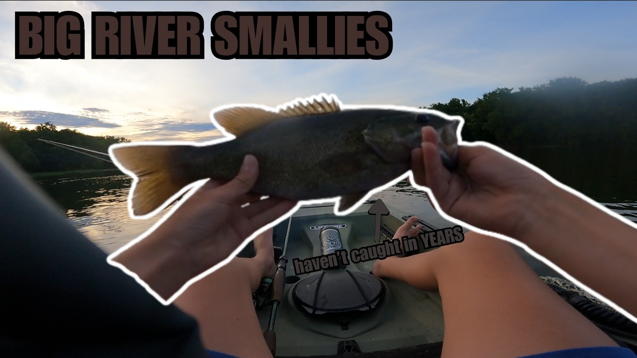 I haven't caught a smallmouth in YEARS… (until now)