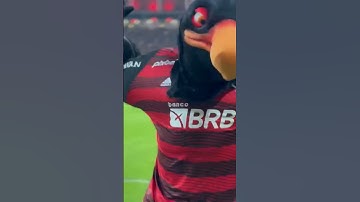 Thumbnail of Mengão do meu Coração ❤️🖤
