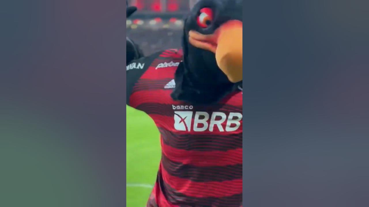 Mengão do meu Coração ❤️🖤