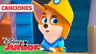 Día del Trabajador: CACHORROS A LA OBRA 🐶🛠️| ¡A cantar con los cachorros! | @DisneyJuniorES