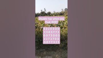 Observation Visual Test: 5 Seconds ForYou To Spot 0237. Try Your Skills! #search #puzzle #shorts