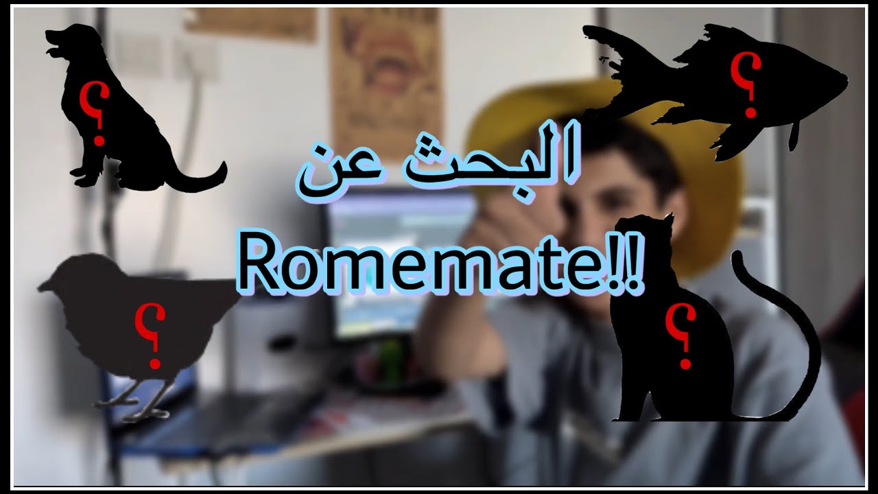 البحث عن roommate🏃🏻‍♂️