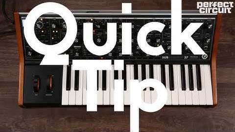 Quick Tip: Pluck Bass Patch On Moog Subsequent 37 Tutorial