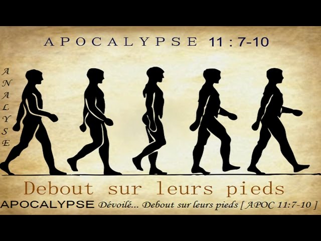 ＡＰＯＣＡＬＹＰＳＥ Dévoilé... Debout sur leurs pieds [ APOC 11 ...