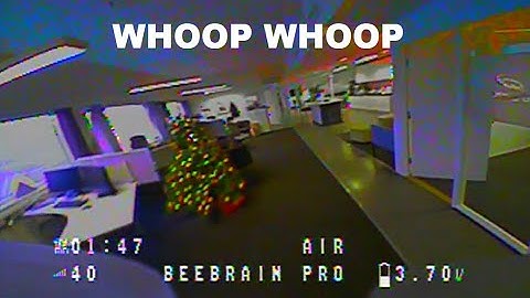 NBD Brushless / Brushed Acrobee 2019