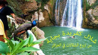 شلالات كفريدة بجاية من أكبر الشلالات في الجزائر و من أهم الوجهات السياحية  les  cascades de kefrida