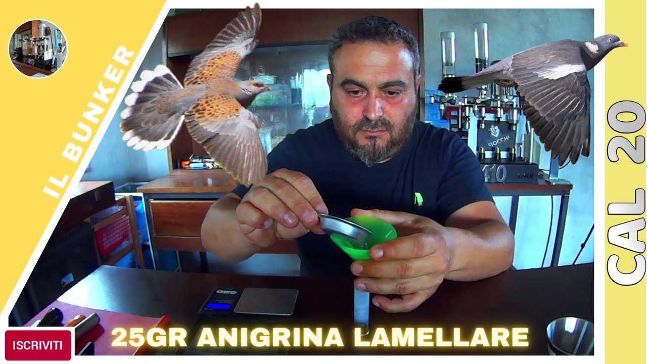 20 калибр - вес 25 г - пластинчатая анигрина