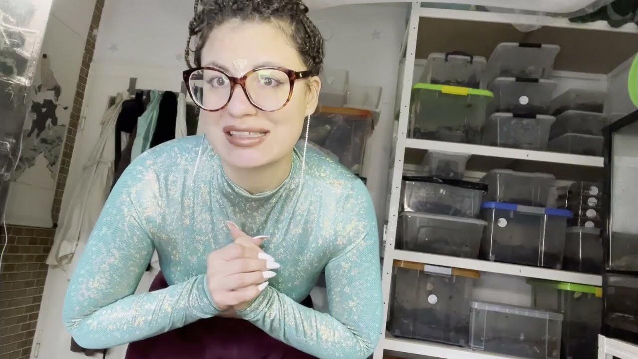 Snails That don’t lay eggs /viviparous snails /Allisa Sansibar & Zanzibarica YouTube