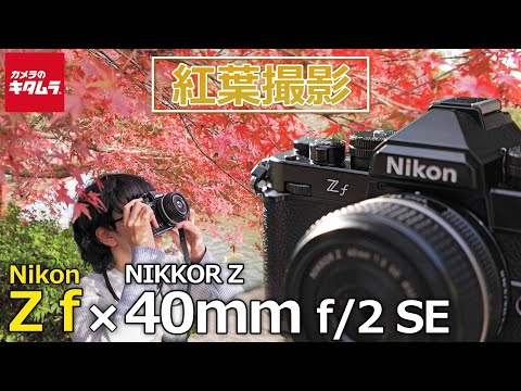 ニコン Z f で紅葉撮影】ヘリテージデザインが美しいNikon Z f