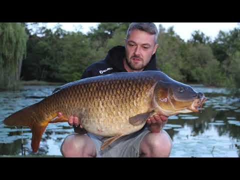 Summer Carp Fishing at Tri Lakes Country Park in Yateley