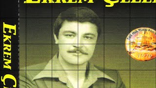 Ekrem Çelebi - Torşahin Misali