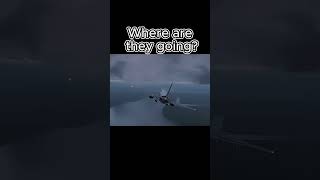 "That's not something you see everyday" ||Taca Flight 110