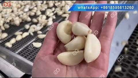 Garlic Peeling And Sorting Processing Line