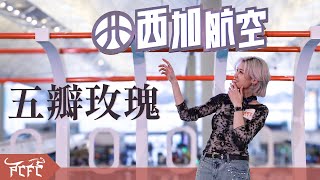 陳蕾 Panther Chan《五瓣玫瑰》- 27/7