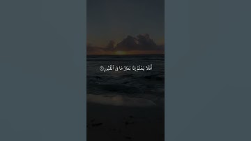 قران كريم   بصوت خالد الجليل سورة العاديات