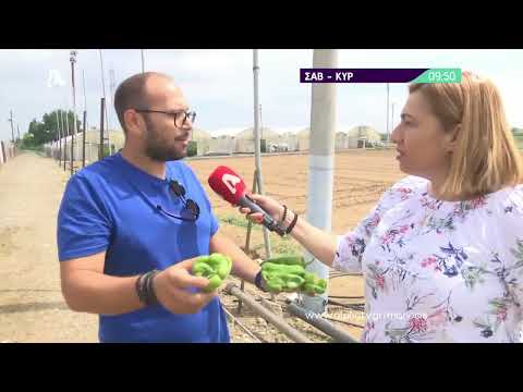 Σαββατοκύριακο με τον