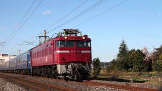 EF81 141[長岡]+ハネ使用の常磐線乗務員訓練