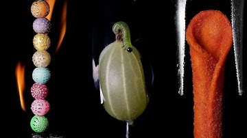 Crunching, Crushing & Burning Objects in Macro 🤩