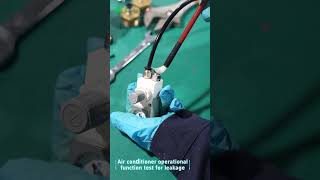 A Quick Look at Vacuum Regulator Leak Testing