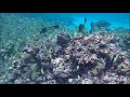 Video for "Denis Island", SEYCHELLES, VIDEO