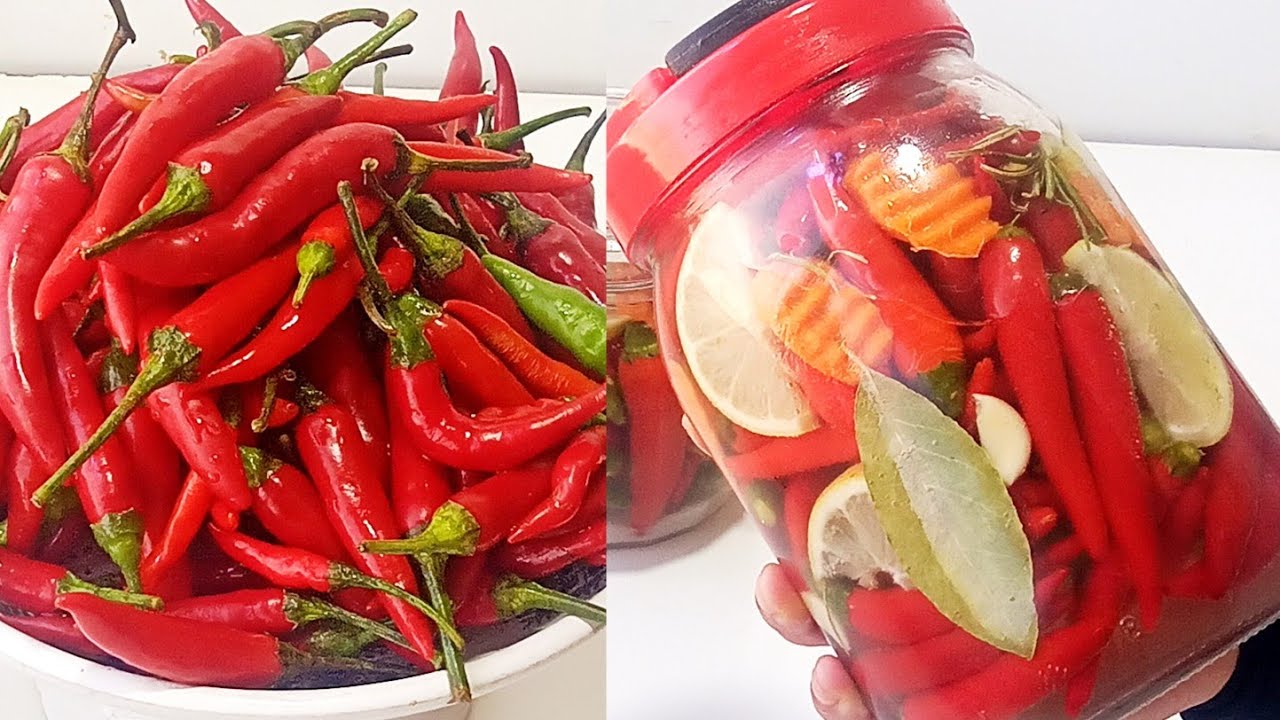 سر لي تحتافضي بيها سنة ما تغمال ما تخماج بمكوين مايخطة حتى دار بلا ثلاج ولا مجمد توجد في سمانتها