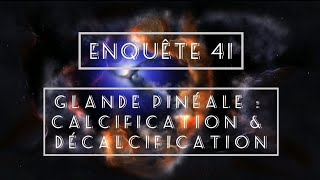 Enquête 41 Calcification Et Décalcification De La Glande Pinéale