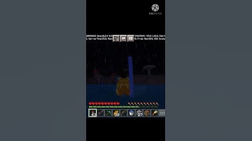 I found the rarest Biome in Minecraft