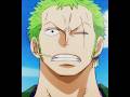 Zoro and Luffy's bond.❤️