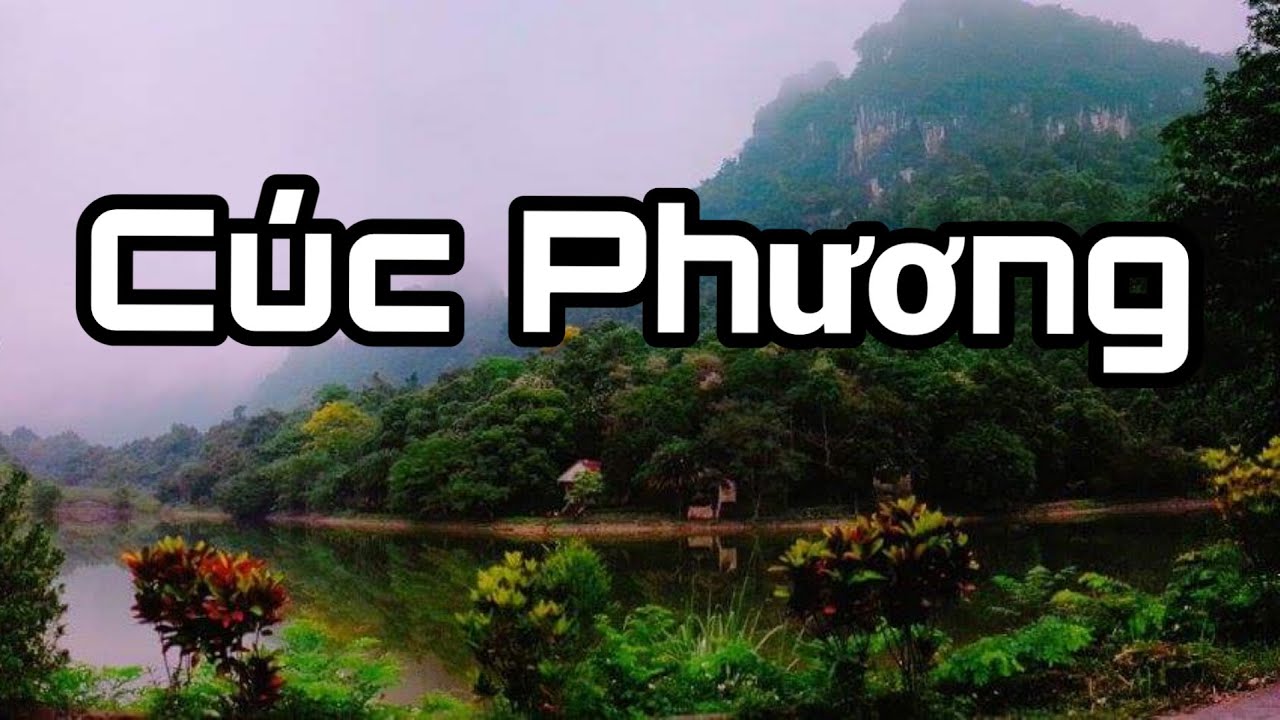 giá vé vào rừng cúc phương Update 2022 NINH BÌNH 🇻🇳 Vườn Quốc gia Cúc Phương ngôi nhà của hệ động thực vật