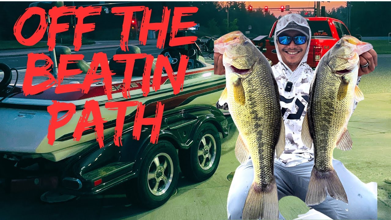 Pond Hoppin- Small Lakes in search of big bass