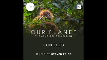 Stranger Than Fiction | Our Planet: The Complete Collection OST