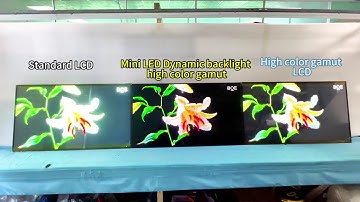 We compared Mini LED and regular LCD to achieve better image quality.#clientop