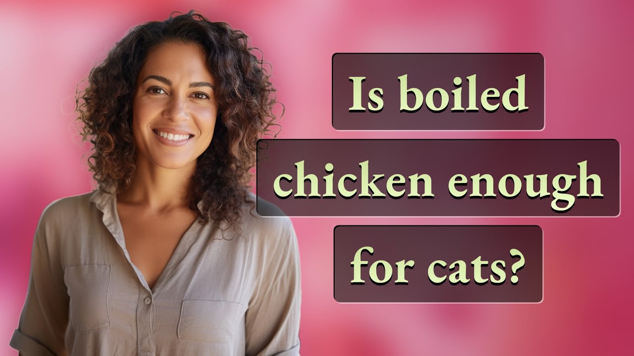 Is boiled chicken enough for cats?