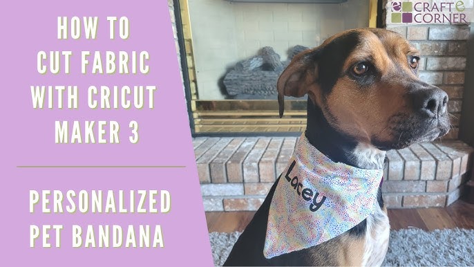 5 Ways To Crafting A Personalized Pet Bandana 2024