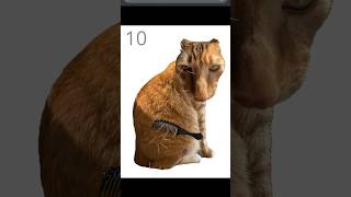 WR Brush cat Finish to 100 (42.3 secs) under 45 seconds #games #fyp #cat #random #funny #orangecat