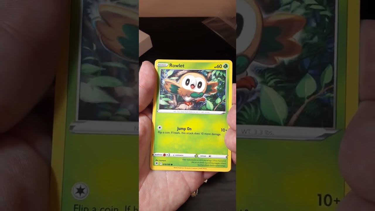 Shaymin Knockout Collection