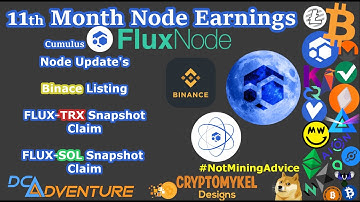 Node Update - 11th Month Node Earnings And Big FLUX Update