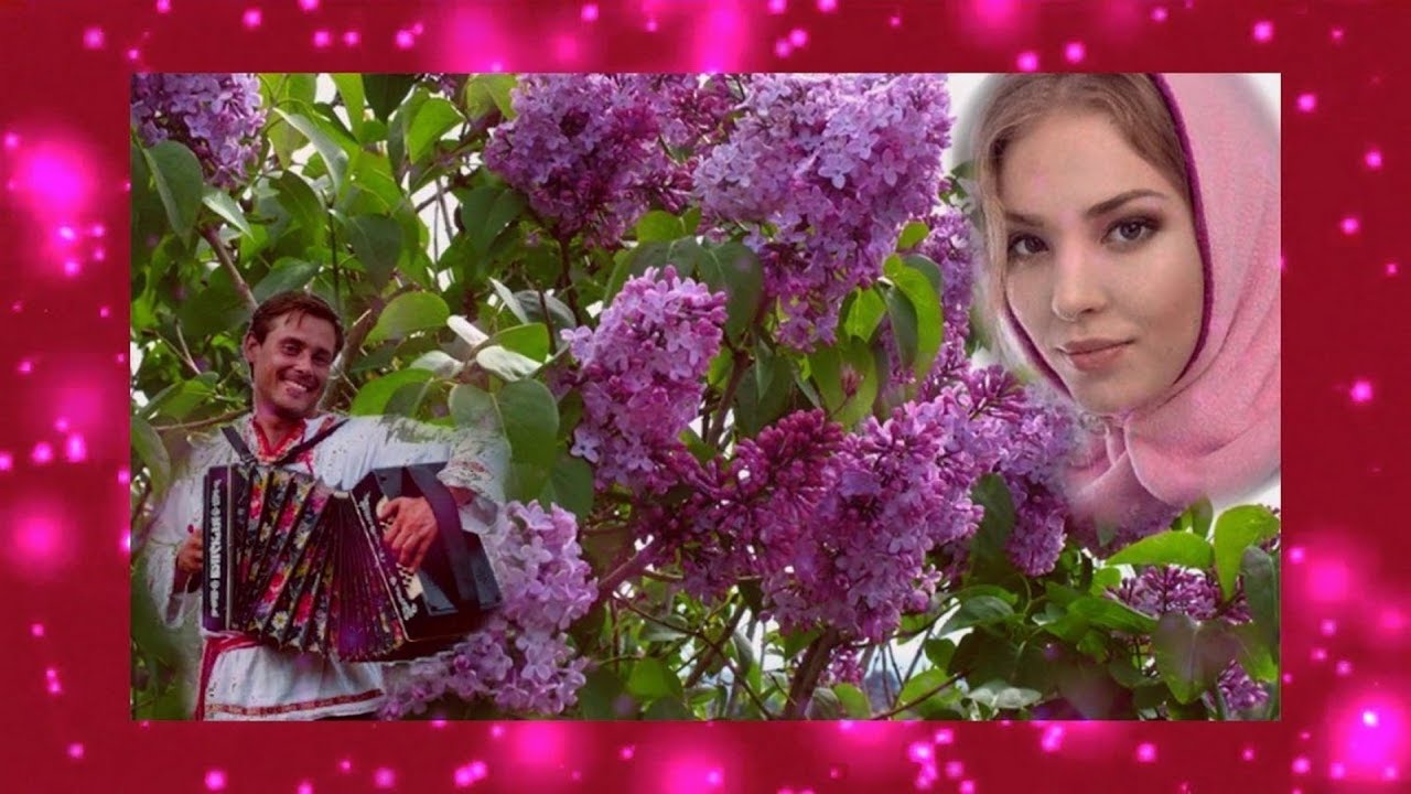 2-ой ВАРИАНТ, ГДЕ МЕНЯ, КИНО ВАСЯ ВИДАТЬ =В МОЁМ САДУ СИРЕНЬ ЦВЕТЁТ= ЭХ ...