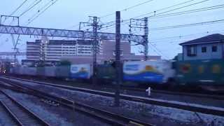 東海道の貨物2009　EF66 27（国鉄色） 1050レ　黄昏時の戸塚駅を通過　2009.6.2