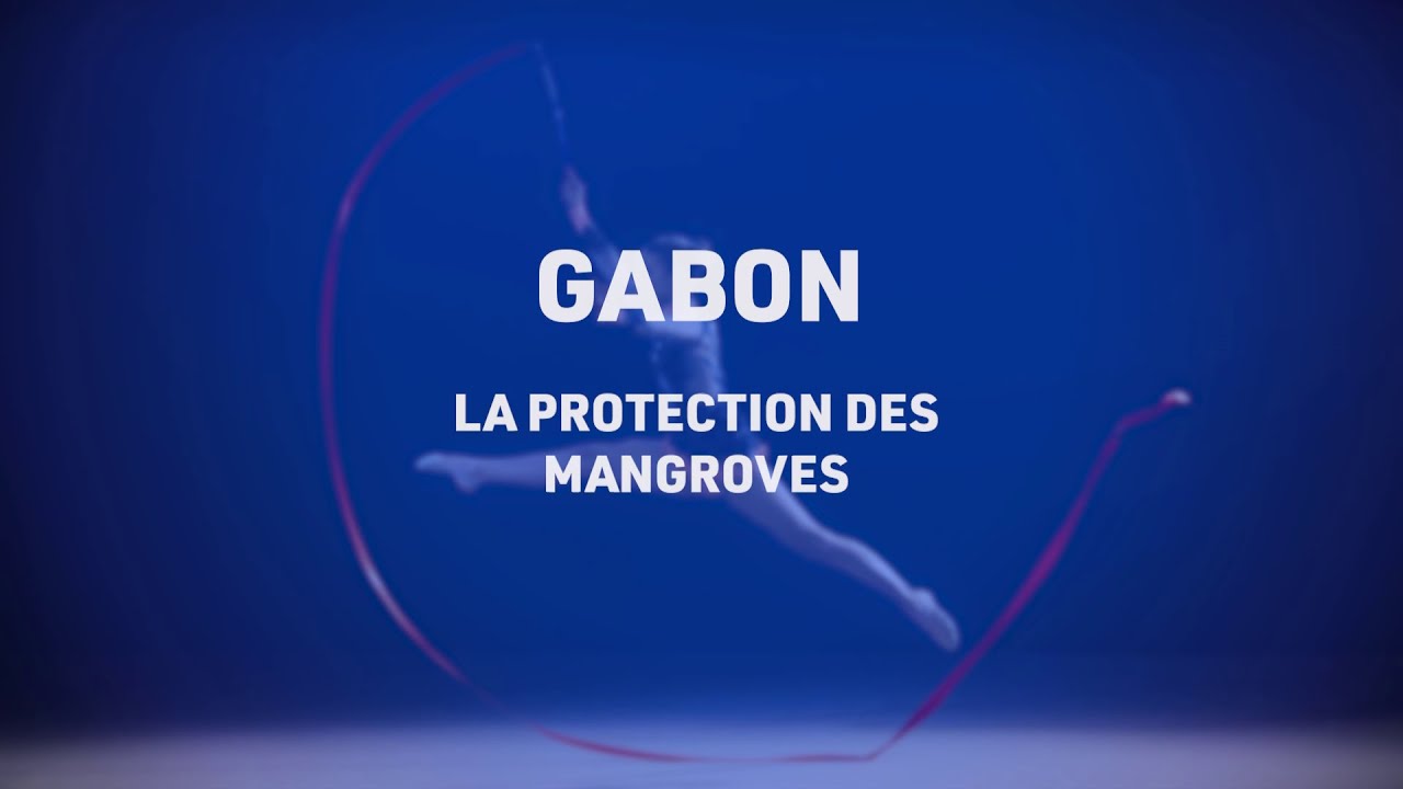 TLS le mag, La protection des mangroves au Gabon, Telesud, le 07/01/21